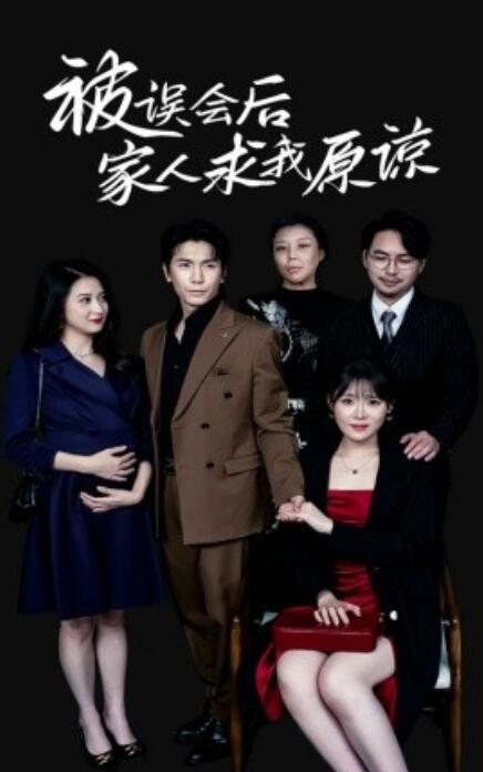 《被误会后家人求我原谅》短剧高清全集免费在线观看  第1张