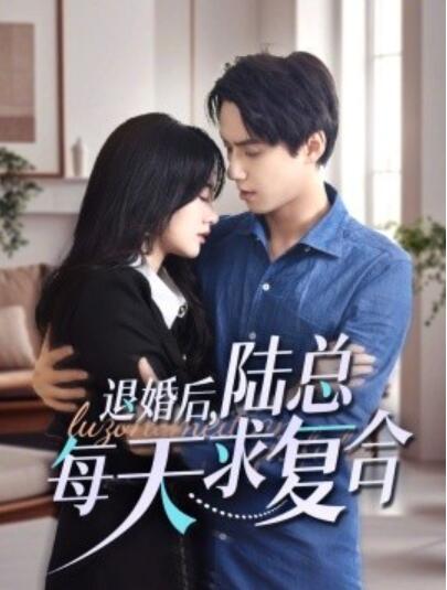 《退婚后，陆总每天求复合》短剧高清全集免费在线观看  第1张