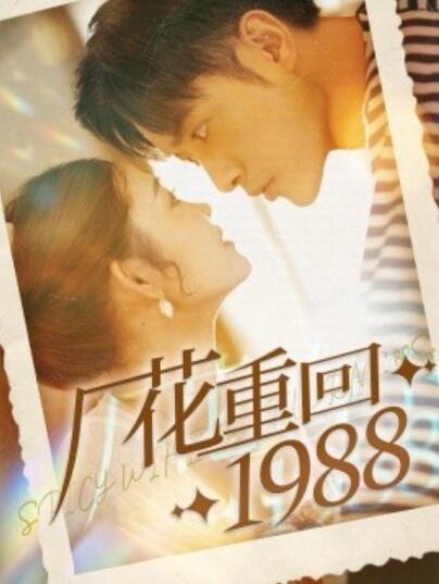 《厂花重回1988》短剧高清全集免费在线观看  第1张