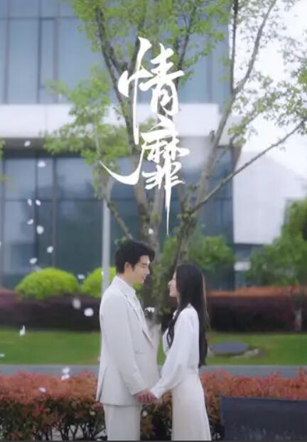 《情靡》短剧高清全集免费在线观看  第1张