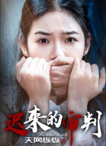 《天网恢恢之迟来的审判》短剧高清全集免费在线观看  第1张