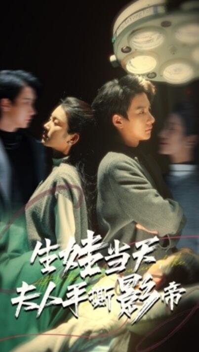 《生娃当天夫人手撕影帝》短剧高清全集免费在线观看  第1张