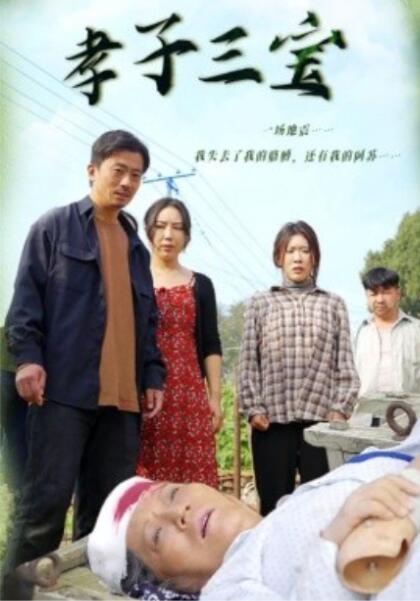 《孝子三宝》短剧高清全集免费在线观看  第1张