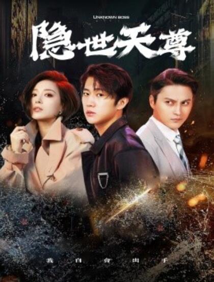 《隐世天尊》短剧高清全集免费在线观看  第1张