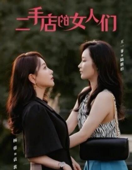 《二手店的女人们》短剧高清全集免费在线观看  第1张
