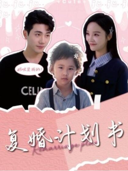 《复婚计划书》短剧高清全集免费在线观看  第1张