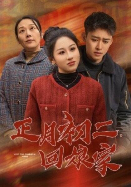 《正月初二，回娘家》短剧高清全集免费在线观看  第1张