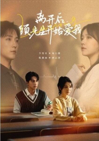 《离开后，顾先生开始爱我》短剧高清全集免费在线观看  第1张