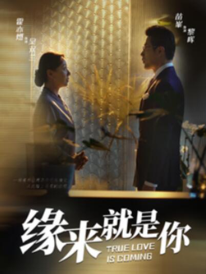 《缘来就是你》短剧高清全集免费在线观看  第1张