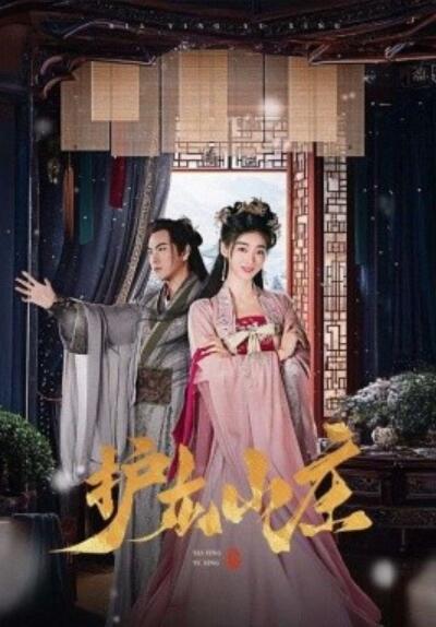 《护龙山庄》短剧高清全集免费在线观看  第1张
