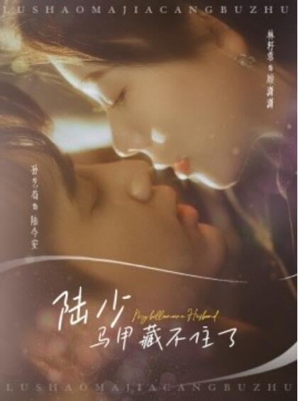 《陆少马甲藏不住了》短剧高清全集免费在线观看  第1张