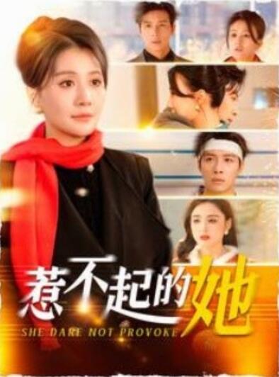 《惹不起的她》短剧高清全集免费在线观看  第1张