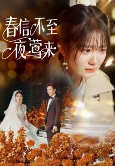 《春信不至夜莺来》短剧高清全集免费在线观看播放完整版 春信不至夜莺来短剧，春信不至夜莺来全集，春信不至夜莺来免费观看，春信不至夜莺来短剧全集，春信不至夜莺来夸克资源 第1张