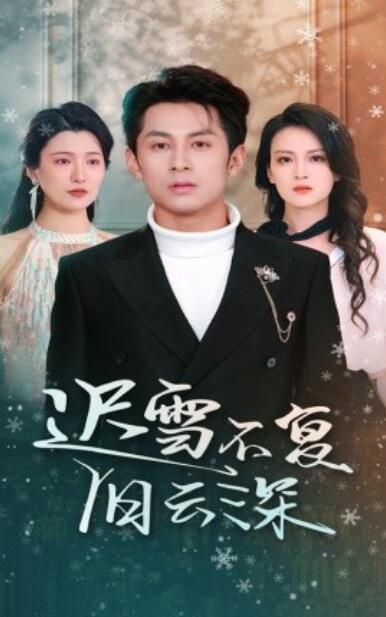 《迟雪不复旧云深》短剧高清全集免费在线观看播放完整版 迟雪不复旧云深短剧，迟雪不复旧云深全集，迟雪不复旧云深免费观看，迟雪不复旧云深短剧全集，迟雪不复旧云深夸克资源 第1张