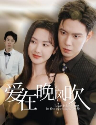 《爱在晚风吹》短剧高清全集免费在线观看播放完整版 爱在晚风吹短剧，爱在晚风吹全集，爱在晚风吹免费观看，爱在晚风吹短剧全集，爱在晚风吹夸克资源 第1张