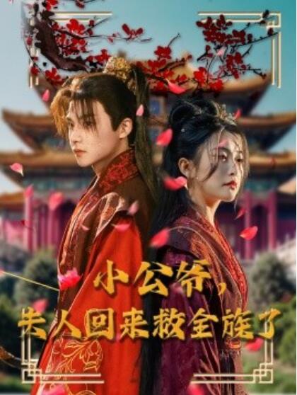 《小公爷，夫人回来救全族了》短剧高清全集免费在线观看播放完整版 小公爷夫人回来救全族了短剧，小公爷夫人回来救全族了全集，小公爷夫人回来救全族了免费观看，小公爷夫人回来救全族了短剧全集，小公爷夫人回来救全族了夸克资源 第1张