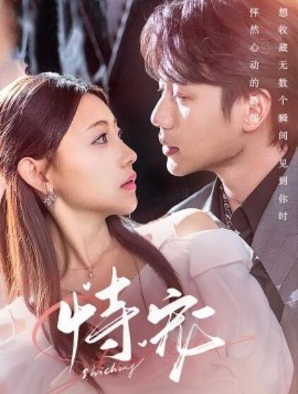 《恃宠》短剧高清全集免费在线观看播放完整版 恃宠短剧，恃宠全集，恃宠免费观看，恃宠短剧全集，恃宠夸克资源 第1张