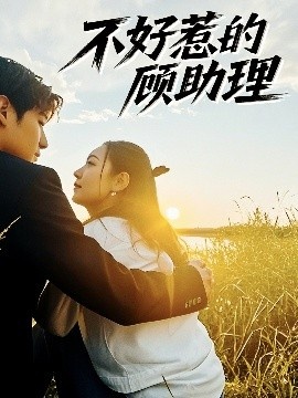 《不好惹的顾助理》免费在线观看短剧高清全集完整版 不好惹的顾助理短剧，不好惹的顾助理全集，不好惹的顾助理免费观看，不好惹的顾助理短剧全集，不好惹的顾助理夸克资源 第1张