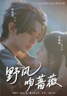 《野风吻蔷薇》免费在线观看短剧高清全集完整版 野风吻蔷薇短剧，野风吻蔷薇全集，野风吻蔷薇免费观看，野风吻蔷薇短剧全集，野风吻蔷薇夸克资源 第1张