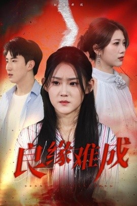《良缘难成》免费在线观看短剧高清全集完整版 良缘难成短剧，良缘难成全集，良缘难成免费观看，良缘难成短剧全集，良缘难成夸克资源 第1张