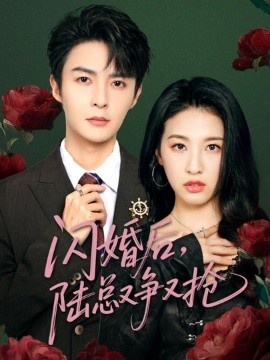 《闪婚后，陆总又争又抢》免费在线观看短剧高清全集完整版 闪婚后陆总又争又抢短剧，闪婚后陆总又争又抢全集，闪婚后陆总又争又抢免费观看，闪婚后陆总又争又抢短剧全集，闪婚后陆总又争又抢夸克资源 第1张