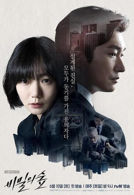 《秘密森林》电视剧高清全集免费在线观看播放完整版 秘密森林电视剧，秘密森林免费观看，秘密森林电视剧全集，秘密森林在线观看，秘密森林夸克网盘，秘密森林夸克资源 第1张