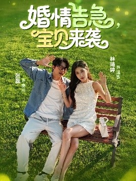 《婚情告急宝贝来袭》免费在线观看短剧高清全集完整版 婚情告急宝贝来袭短剧，婚情告急宝贝来袭全集，婚情告急宝贝来袭免费观看，婚情告急宝贝来袭短剧全集，婚情告急宝贝来袭夸克资源 第1张