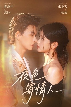 《夜色寄情人》免费在线观看短剧高清全集完整版 夜色寄情人短剧，夜色寄情人全集，夜色寄情人免费观看，夜色寄情人短剧全集，夜色寄情人夸克资源 第1张