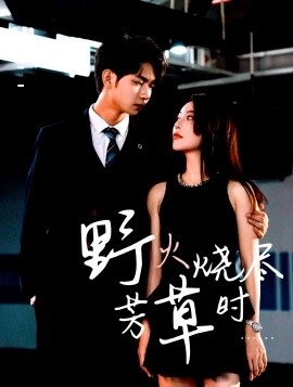 《野火烧尽芳草时》免费在线观看短剧高清全集完整版 野火烧尽芳草时短剧，野火烧尽芳草时全集，野火烧尽芳草时免费观看，野火烧尽芳草时短剧全集，野火烧尽芳草时夸克资源 第1张