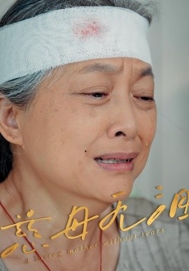 《慈母无泪》免费在线观看短剧高清全集完整版 慈母无泪短剧，慈母无泪全集，慈母无泪免费观看，慈母无泪短剧全集，慈母无泪夸克资源 第1张