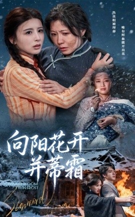 《向阳花开并蒂霜》免费在线观看短剧高清全集完整版 向阳花开并蒂霜短剧，向阳花开并蒂霜全集，向阳花开并蒂霜免费观看，向阳花开并蒂霜短剧全集，向阳花开并蒂霜夸克资源 第1张