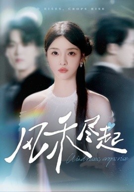 《风禾尽起》免费在线观看短剧高清全集完整版 风禾尽起短剧，风禾尽起全集，风禾尽起孙免费观看，风禾尽起短剧全集，风禾尽起夸克资源 第1张